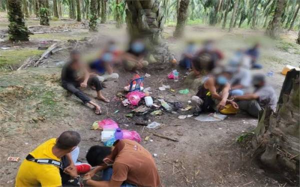 Polis berjaya menahan 15 lelaki dalam serbuan 'port' menghisap dadah di sebuah kebun kelapa sawit di Beruas. - Foto ihsan PDRM