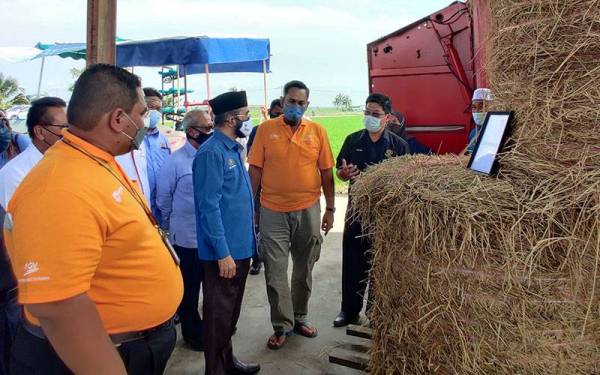 Nik Muhammad Zawawi (tiga dari kanan) melihat jerami padi selepas lawatan kerja ke Program SMART SBB di Tali Air 3 Sekinchan di sini pada Selasa.