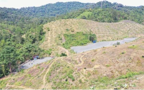 Kawasan hutan milik kerajaan berhampiran Kampung Kolong Pahat, Sungai Lembing yang diceroboh sebelum ini, telah diluluskan untuk diwartakan sebagai Hutan Simpan Sungai Lembing. - Foto JPNP