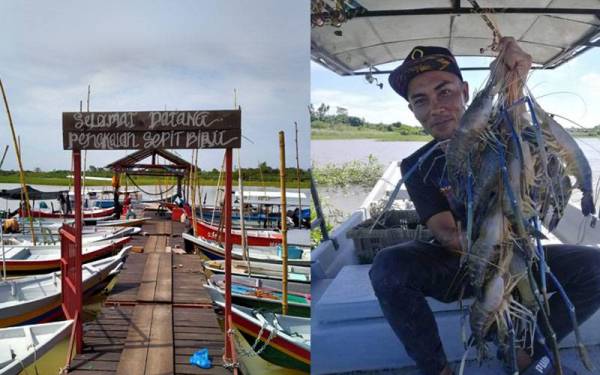 Inisiatif penduduk dan nelayan tempatan membangunkan kawasan Pengkalan Sepit Biru di Kampung Permatang Berangan, Pinang Tunggal di sini membantu mereka menjana pendapatan. Pengunjung menunjukkan hasil tangkapan udang galah yang diperolehi.