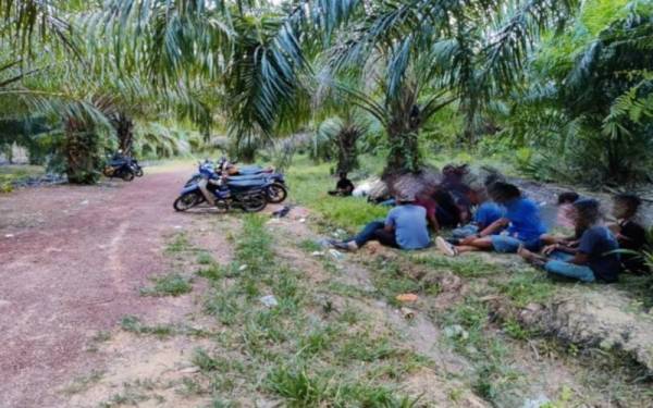 Polis menahan seramai 57 penagih dadah dalam serbuan tiga hari di beberapa kawasan kawasan tanah rancangan Felda di Jempol. - Foto ihsan PDRM