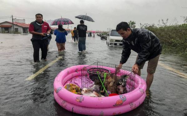 Wan Ashraf menggunakan kolam kanak-kanak sebagai pelampung untuk menyelamatkan kucing peliharaannya ke tempat selamat selepas kediaman di landa banjir di Taman Wira Jaya, Lubuk Jong, pada Ahad. Foto Bernama