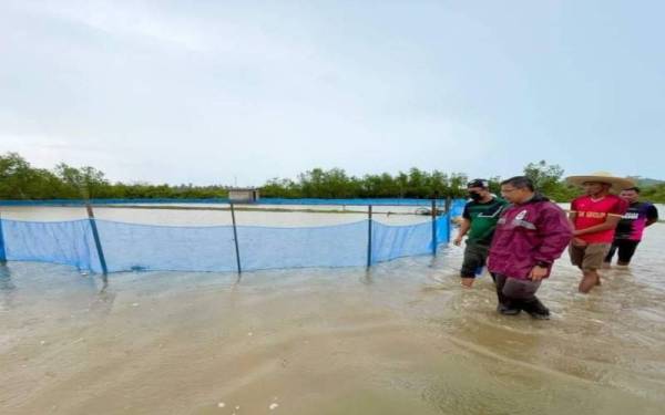 Dr Azman (tiga, kanan) ketika melihat kolam benih ikan siakap seluas 100 hektar yang diusahakan 80 penternak akuakultur di Kampung Keluang, Besut ditenggelami air ekoran hujan lebat dan air pasang besar.