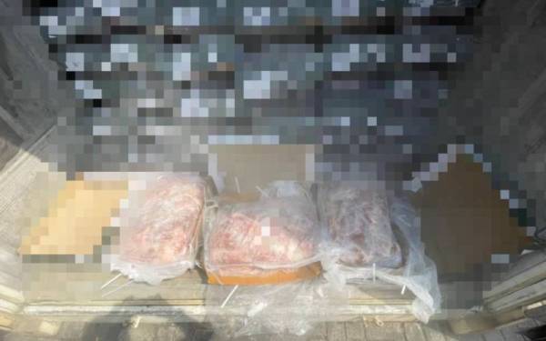 Maqis Selangor merampas daging kerbau sejuk beku bernilai RM323,000 di Pelabuhan Klang Barat, Klang pada Sabtu lalu.