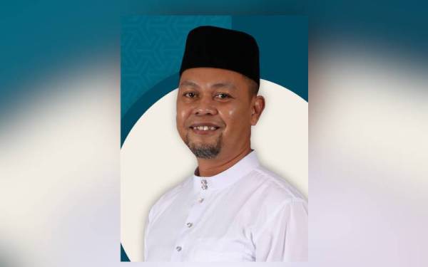 Ahli Parti Perjuang Mahdzir Ibrahim akan bertanding di N17 Semerah bagi Pilihan Raya Negeri Johor.
--fotoBERNAMA 