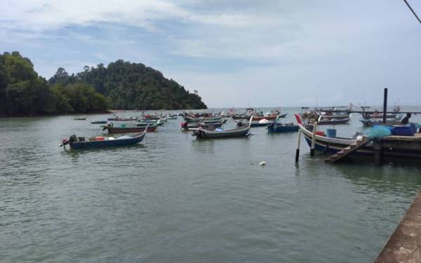 Nelayan Kuala Muda terjejas pendapatan akibat pencerobohan pukat tunda.