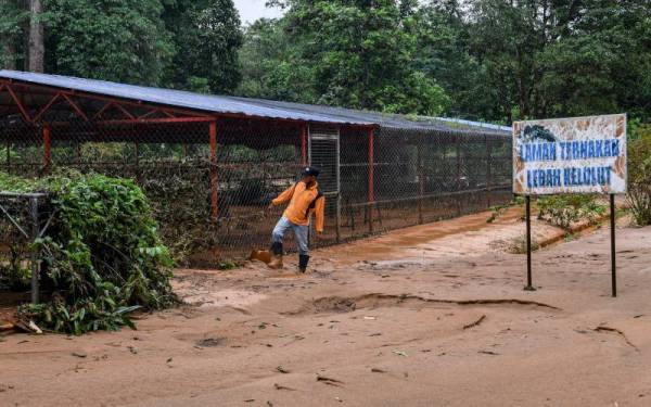 Pengurus Taman Pertanian Negeri Sekayu (TPNS) Mohd Amran Awang melihat keadaan kawasan Pusat Repisotori Kelulut Indo-Malaya yang terjejas berikutan banjir besar semasa tinjauan di Taman Pertanian Negeri Sekayu. -Foto Bernama