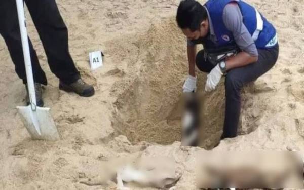 Anggota Jabatan Perkhidmatan Veterinar (JPV) Terengganu mengambil bangkai kucing terbiar yang mati disyaki akibat diracun di Pantai Bukit Keluang di Besut, Ahad lalu.