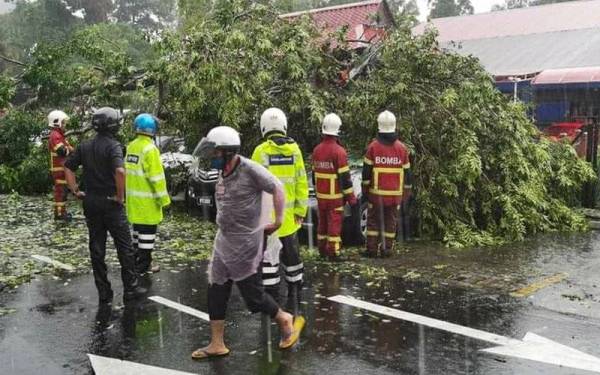 Insiden pokok tumbang di kawasan parkir di HCTM UKM pada Isnin. - Foto Facebook Keselamatan KKL