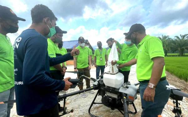 Penggunaan kaedah teknologi terkini seperti dron mengubah landskap pertanian konvensional. Foto: BERNAS