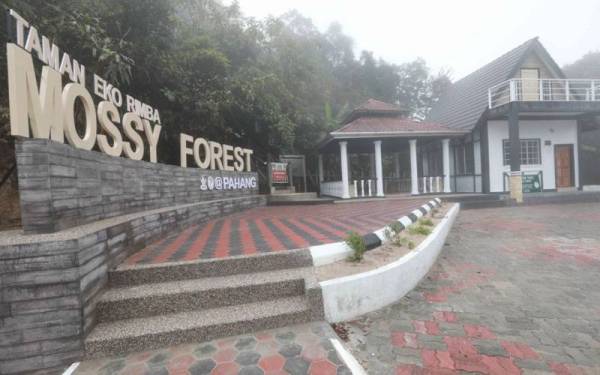 JPNP memperuntukkan RM450,000 bagi menaik taraf TER Mossy Forest, Cameron Highlands untuk keselesaan pengunjung. - Foto JPNP