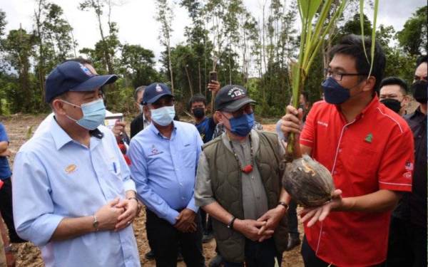 Hajiji (kiri) mendengar penerangan daripada Joe Ling (kanan) mengenai buah kelapa Linaco pada majlis pelancaran Ladang Kelapa Linaco pada Sabtu. Turut sama Dr Jeffery Kitingan. - Foto Bernama 