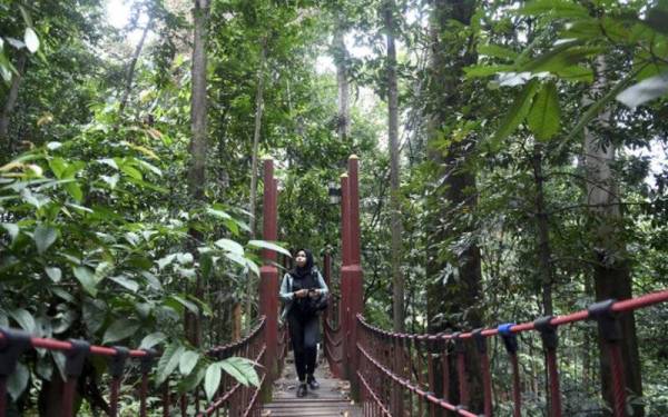 Taman Eko Rimba di Selangor beroperasi dari jam 8 pagi hingga 5 petang. 