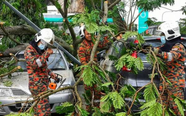 Bomba menjalankan operasi mengalihkan dahan pokok yang menghempap kereta di Ipoh. - Foto ihsan bomba Perak