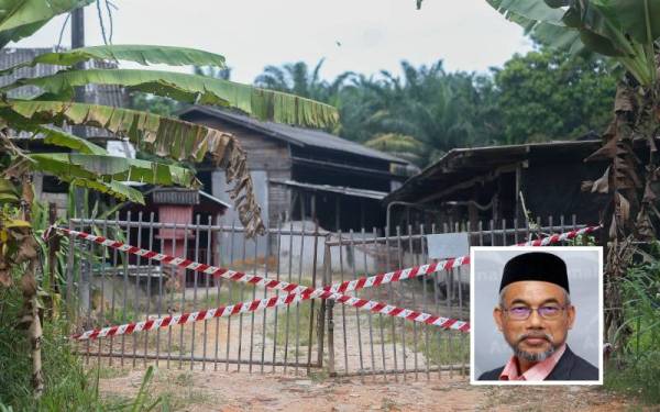 Sebuah ladang babi tidak berlesen di Kampung Baru Site A di Tanah Merah di sini dsita susulan kes positif ASF. (Gambar kecil: Bakri)