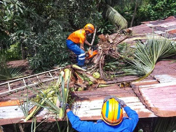 Anggota APM membersihkan dan mengalihkan pokok kelapa yang menimpa dapur rumah warga emas terbabit. - Foto APM