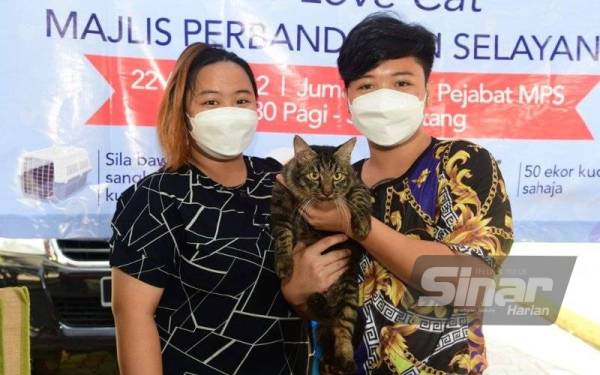 pusat jagaan kucing terbiar