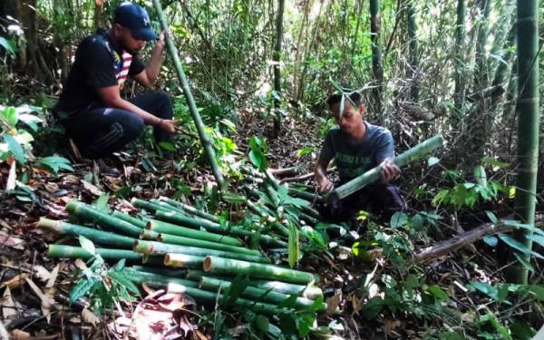 Mohd Rafiuddin (kanan) dan Mohd Azim memotong buluh yang telah siap ditempah oleh peniaga lemang di tebing Tasik Pedu, Padang Terap baru-baru ini.