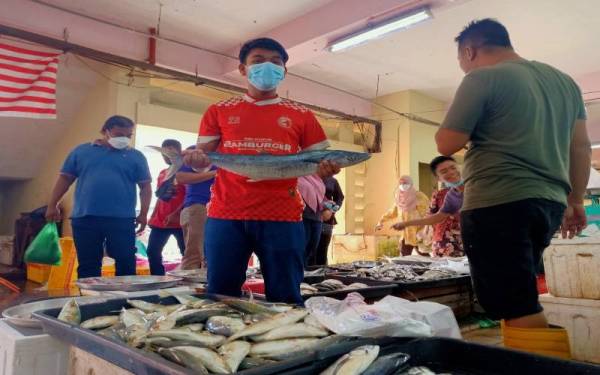 Mohd Safuan menunjukkan ikan tenggiri yang terpaksa dijual sehingga RM45 sekilogram ekoran bekalan stok berkurangan selain sambutan Aidilfitri.