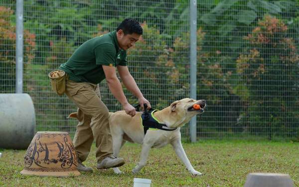 Seorang pengendali anjing pengesan perlu mempunyai sikap sabar. Foto - HALIM ABDUL WAHID