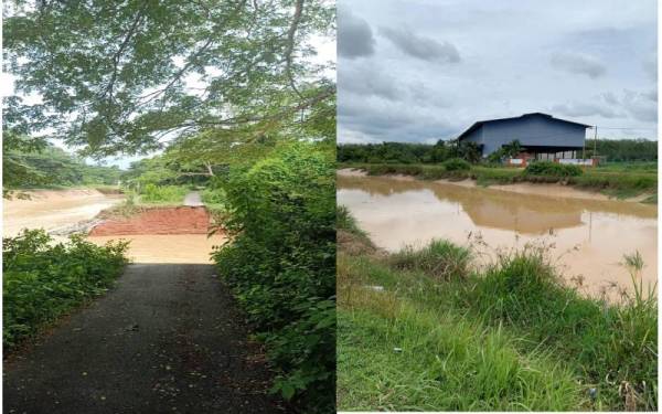 Paras Sungai Santap, Pokok Sena turun susulan ban Mada dan terusan tengah pecah pada Isnin. - Foto tular