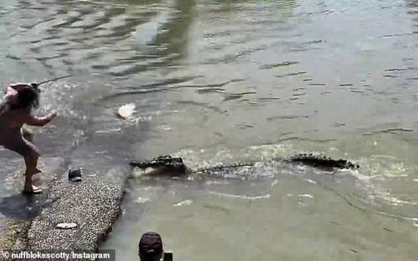 Seorang pemancing menarik ikan yang berjaya dipancingnya bagi mengelakkan ia diterkam oleh seekor buaya di Wilayah Utara, Australia baru-baru ini. - Foto nuffblokescotty/Instagram