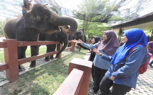 Lebih 38,000 pelancong mengunjungi PKGK Kuala Gandah, Lanchang, Temerloh dalam tempoh empat bulan pada tahun ini.