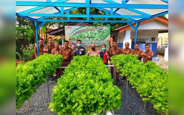 Tanaman salad yang diusahakan menerusi program kebuniti itu telah dirasmikan oleh Nor Azmi (tengah) baru-baru ini.