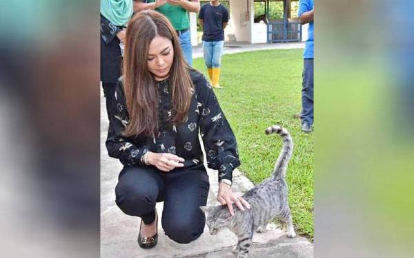 tengku permaisuri norashikin abdul rahman