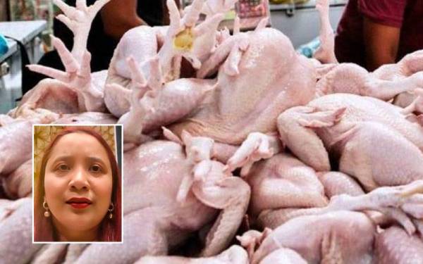 Bekalan ayam di Melaka masih mencukupi meskipun operasi sebuah syarikat pengeluar ayam terbesar di Jasin ditutup dua hari. Gambar kecil: Norena