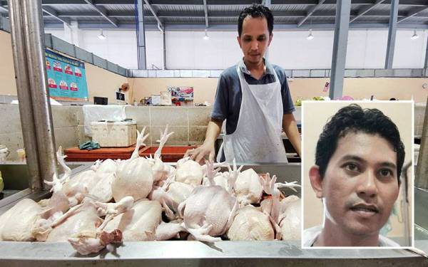 Mohd Hafiza menunjukkan bekalan ayam yang diperolehnya pada Sabtu, berkurangan berbanding hari biasa. Gambar kecil: Robby