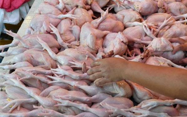 Bekalan makanan terutama ayam di Johor dilaporkan masih mencukupi dan terkawal. - Foto Bernama