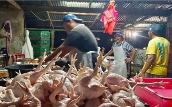 Tiga pekerja di Kedai Ayam Segar Dusun Tua membersihkan ayam sebelum dijual kepada pelanggan sekitar Dusun Tua pada Selasa.