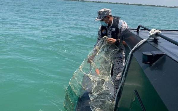 Anggota Penguatkuasaan Maritim Malaysia memeriksa bubu naga yang dipasang di dasar laut oleh pihak tidak bertanggungjawab.