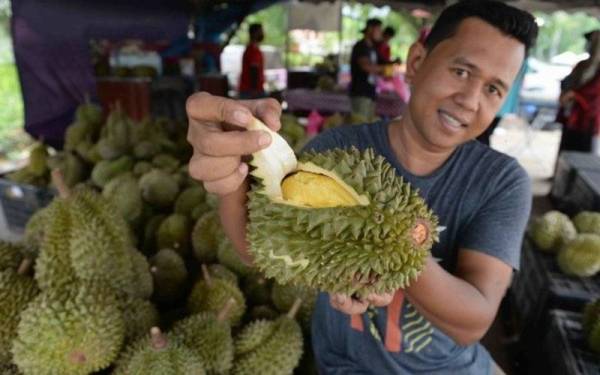 Durian Thailand jadi pilihan kerana harganya lebih rendah berbanding durian tempatan. - Foto fail Bernama