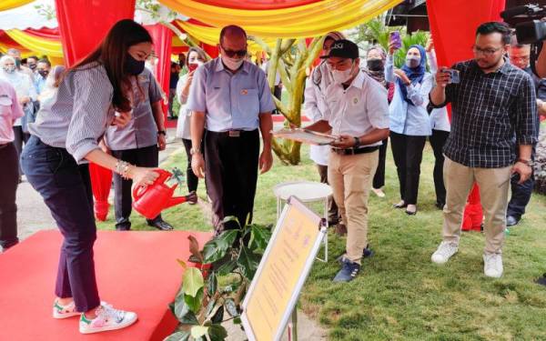 Tengku Permaisuri Norashikin menyiram pokok nangcem pada Majlis Pelancaran Benih Tanaman Selangor di SFV di Bestari Jaya di sini pada Khamis.