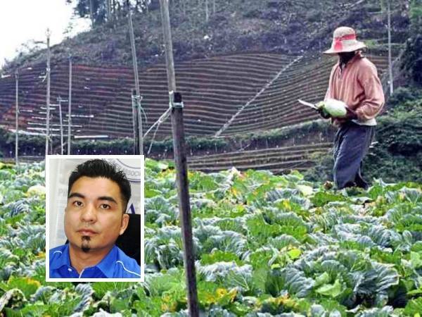 Kerajaan perlu merangka program-program bersesuaian khususnya untuk menarik golongan muda yang tidak bekerja agar menceburi bidang pertanian. Gambar kecil: Mohamad Yusrizal