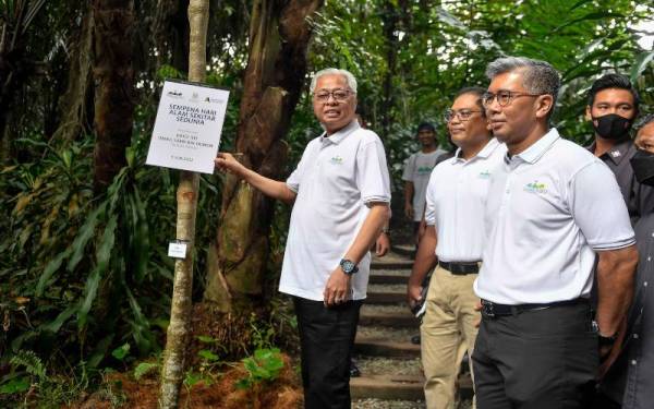 Perdana Menteri Datuk Seri Ismail Sabri Yaakob (kiri) bergambar bersama plak Sambutan Hari Alam Sekitar Sedunia 2022 di Taman Tugu, pada Ahad. Hadir sama Menteri Kewangan Tengku Datuk Seri Zafrul Tengku Abdul Aziz (kanan). - Foto Bernama