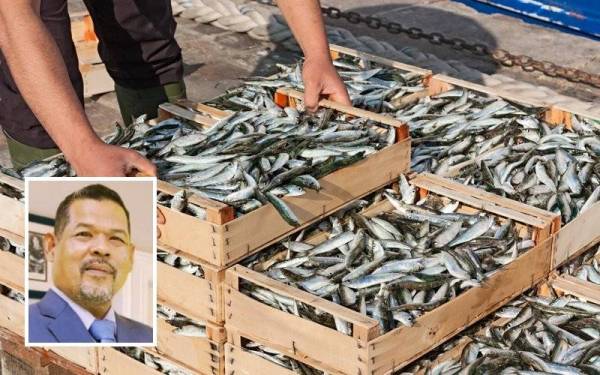 Pendaratan ikan khususnya di kawasan utara Semenanjung Malaysia yang berkurangan hingga 70 peratus dalam tempoh dua bulan ini diharap akan meningkat semula pada akhir Jun. - Foto 123rf (Gambar kecil: Abdul Hamid)