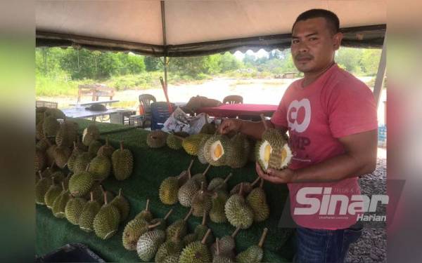 Kamarul mengakui durian musang king, IOI di gerai milikya di Jalan Gambang- Batu Tiga di sini mendapat permintaan tinggi daripada penggemar raja buah itu.