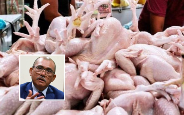 Mesyuarat kabinet pada Rabu bersetuju dengan pelaksanaan beberapa langkah jangka pendek bagi menangani isu bekalan dan harga makanan antaranya mewujudkan simpanan stok atau stockpile ayam. - (Gambar hiasan) Gambar kecil: Ronald Kiandee