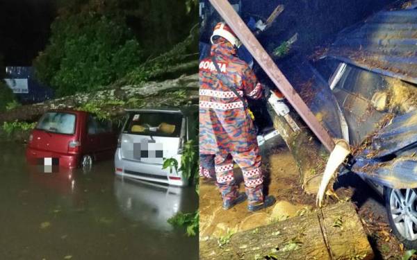 Dua kenderaan yang diparkir di tepi jalan rosak akibat dihempap pokok tumbang di Taman Melawati pada Khamis. Anggota Bomba dan Penyelamat sedang memotong pokok yang menghempap sebuah kenderaan.