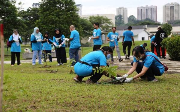 Sukarelawan dari IWK dan kumpulan anak muda menanam pokok-pokok di Khazanah Rimba, Pantai Eco Park bersempena dengan Hari Alam Sekitar Sedunia 2022.