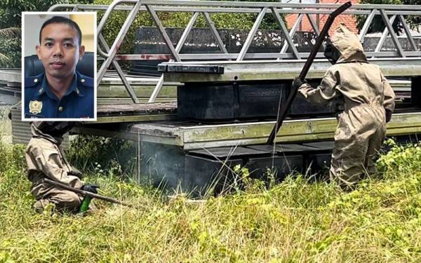 Anggota bomba memusnahkan sarang tebuan di taman permainan di Kampung Tok Jembal, Kuala Nerus. (Gambar kecil) Muhammad Basri