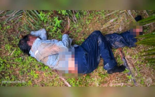 Pekerja ladang berusia 50-an cedera selepas kakinya dipijak seekor gajah liar pada Selasa. - Foto ihsan orang awam