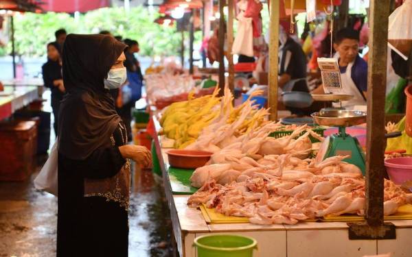 Isu bekalan dan harga ayam tidak lagi timbul menjelang sambutan Aidiladha Ahad ini. Gambar hiasan.