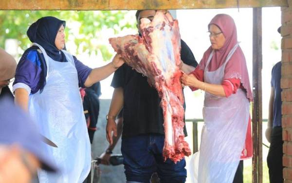 Sebanyak 228 ekor lembu telah dikurniakan untuk ibadah korban oleh Keluarga Diraja Johor bersempena Aidiladha. - Foto Faceboook Onn Hafiz