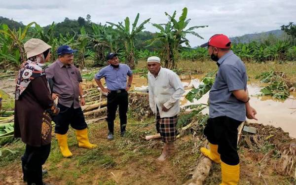 Azman (dua, kiri) ketika meninjau tanaman pisang yang musnah dalam kejadian banjir lumpur di Kampung Iboi.