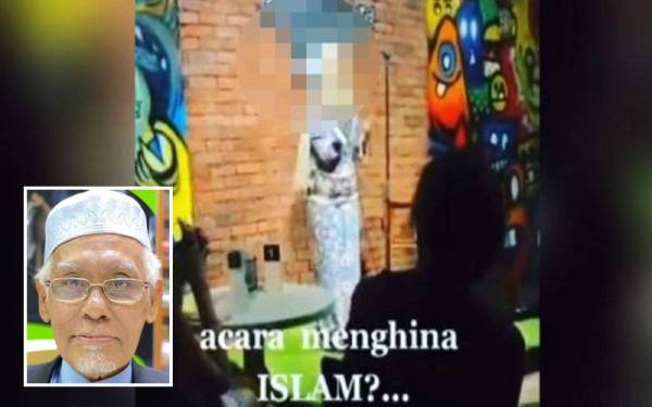 Tangkap layar video berdurasi 54 saat itu tular di media sosial dan mendapat pelbagai komen dalam kalangan netizen. - Foto tular (Gambar kecil: Wan Salim)