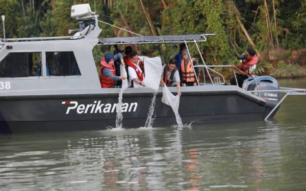 Abdullah (dua dari kanan) mengiringi Mohd Shahar melepaskan benih udang galah di Sungai Bukit Rangin.